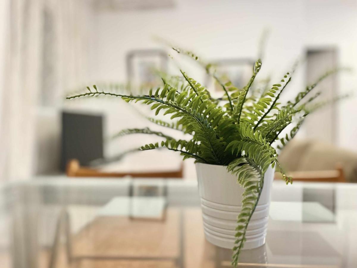 Apartamento En El Centro De Malaga En El Soho Екстериор снимка